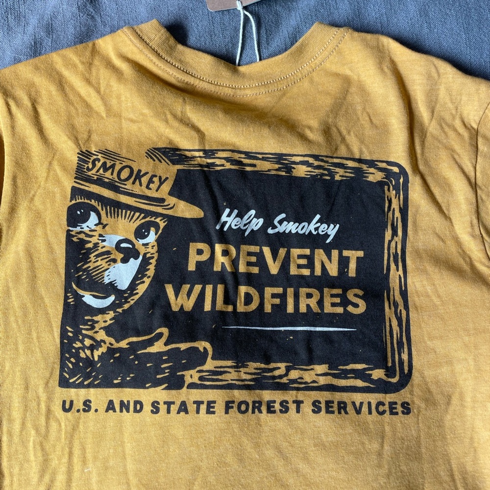 Smokey bear shirt